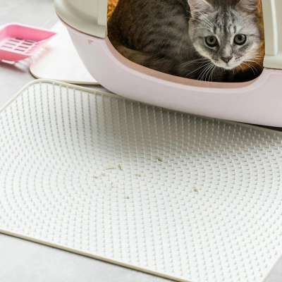 Xiaomi Useful Silicone Pet Supplies Puppy Dog Cat Feeding Cute Mat Cushion Bed Feeding Water Food Bowl Plate